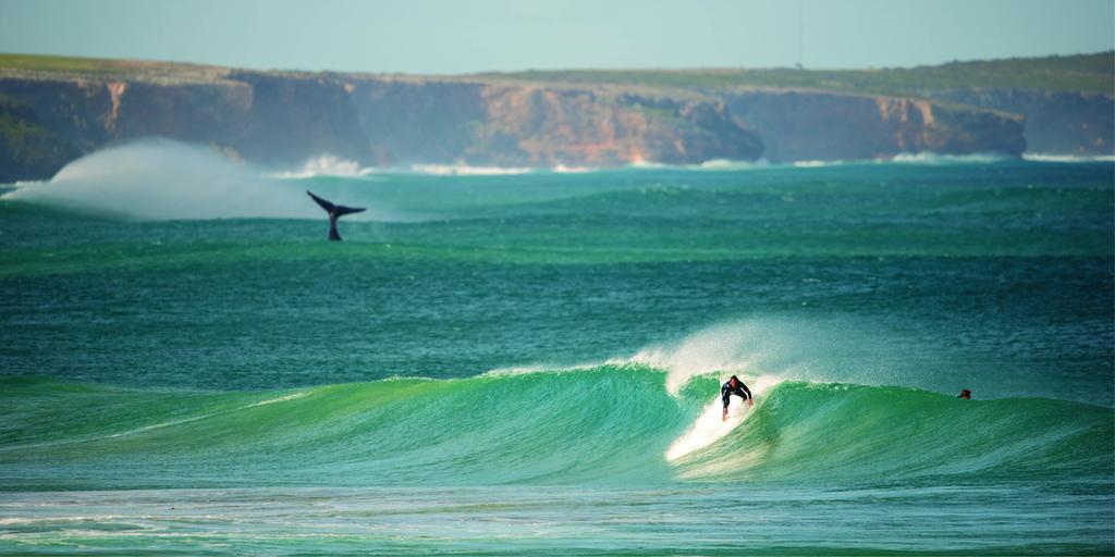 Warrnambool Motel And Holiday Park Kültér fotó